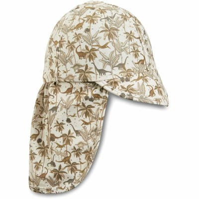 Aster Sunhat Dino