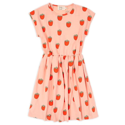 Daniela Dress Persimmon