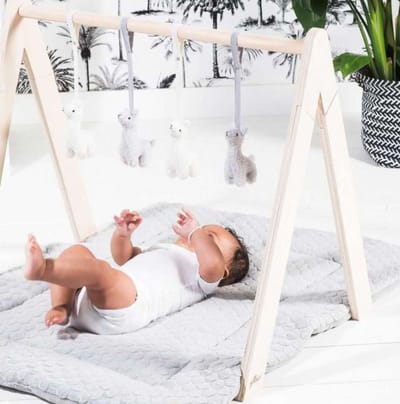 Set Babygym + Toys Lama