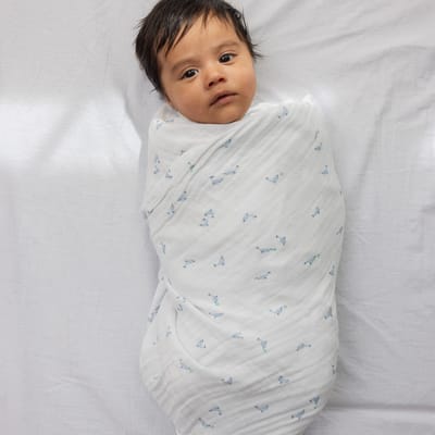 Swaddle Wrap Dolphin (100x100 cm)