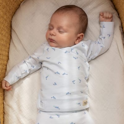 Tuti Wrap Dolphin