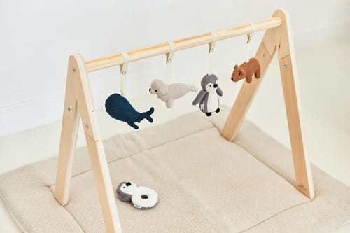 Babygym Toys Polar