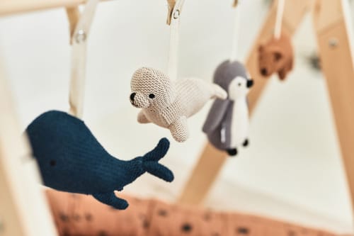 Babygym Toys Polar