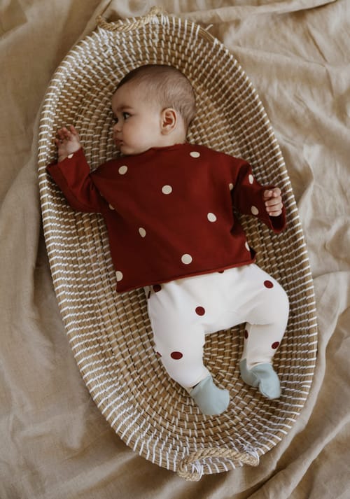 Boxpakje Burgundy Dots