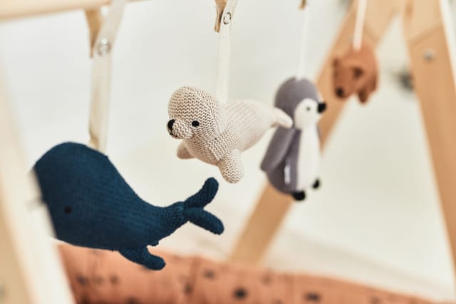 Babygym Toys Polar