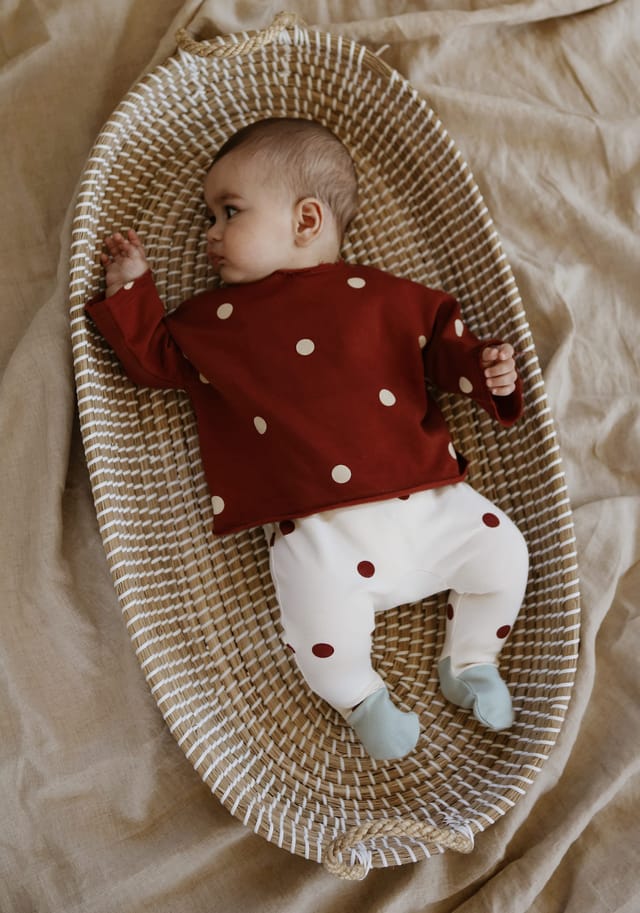 Boxpakje Burgundy Dots