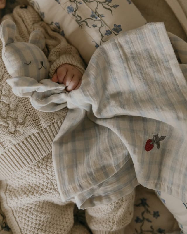 Muslin Bear Cuddle Cloth - Gingham Sky Blue