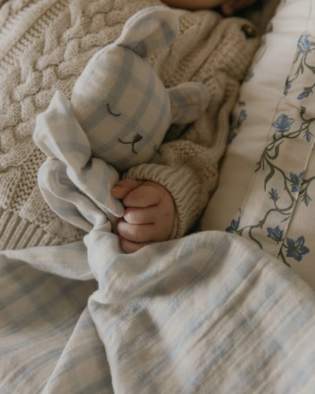 Muslin Bear Cuddle Cloth - Gingham Sky Blue