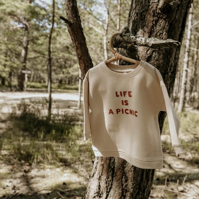 Sweater Life Is a Picnic